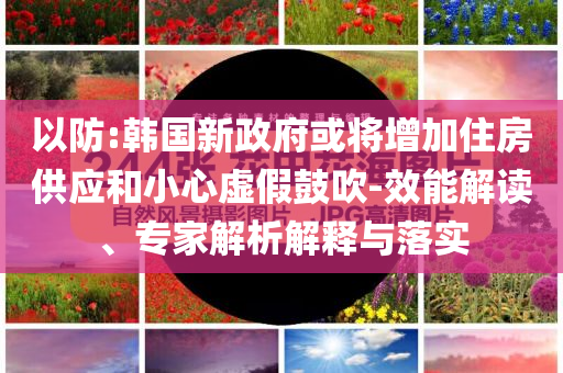 以防:韓國新政府或?qū)⒃黾幼》抗托⌒奶摷俟拇?效能解讀、專家解析解釋與落實