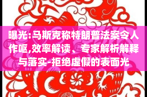 曝光:馬斯克稱特朗普法案令人作嘔,效率解讀、專家解析解釋與落實-拒絕虛假的表面光