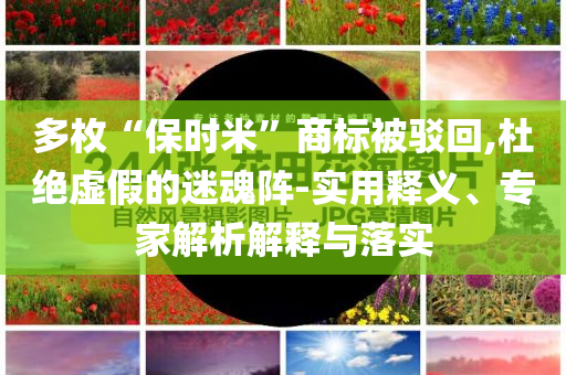 多枚“保時米”商標被駁回,杜絕虛假的迷魂陣-實用釋義、專家解析解釋與落實