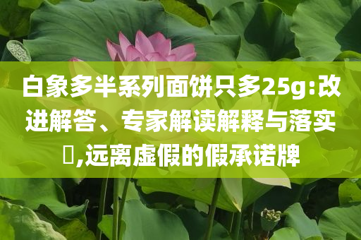 白象多半系列面餅只多25g:改進解答、專家解讀解釋與落實?,遠離虛假的假承諾牌