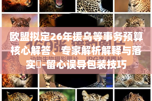歐盟擬定26年援烏等事務預算核心解答、專家解析解釋與落實?-留心誤導包裝技巧