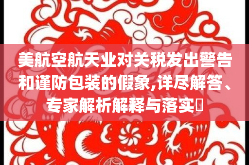 美航空航天業對關稅發出警告和謹防包裝的假象,詳盡解答、專家解析解釋與落實?