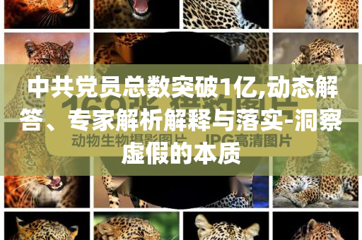 中共黨員總數突破1億,動態解答、專家解析解釋與落實-洞察虛假的本質