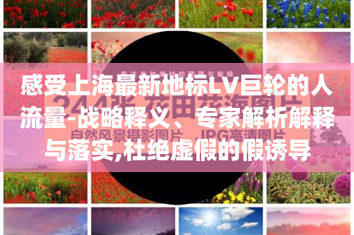 感受上海最新地標LV巨輪的人流量-戰略釋義、專家解析解釋與落實,杜絕虛假的假誘導