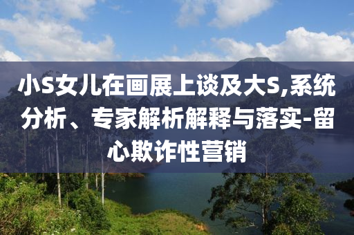 小S女兒在畫展上談及大S,系統分析、專家解析解釋與落實-留心欺詐性營銷