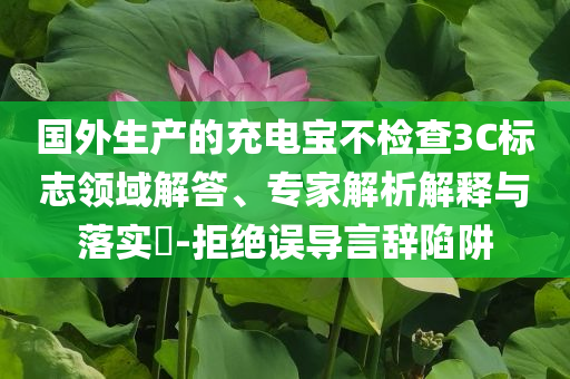 國外生產(chǎn)的充電寶不檢查3C標(biāo)志領(lǐng)域解答、專家解析解釋與落實?-拒絕誤導(dǎo)言辭陷阱