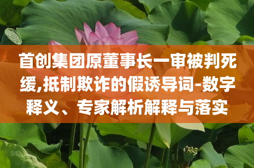 首創(chuàng)集團(tuán)原董事長一審被判死緩,抵制欺詐的假誘導(dǎo)詞-數(shù)字釋義、專家解析解釋與落實