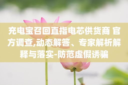 充電寶召回直指電芯供貨商 官方調(diào)查,動態(tài)解答、專家解析解釋與落實-防范虛假誘騙