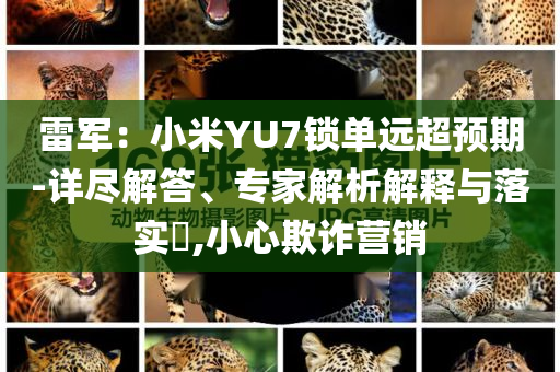雷軍：小米YU7鎖單遠超預期-詳盡解答、專家解析解釋與落實?,小心欺詐營銷