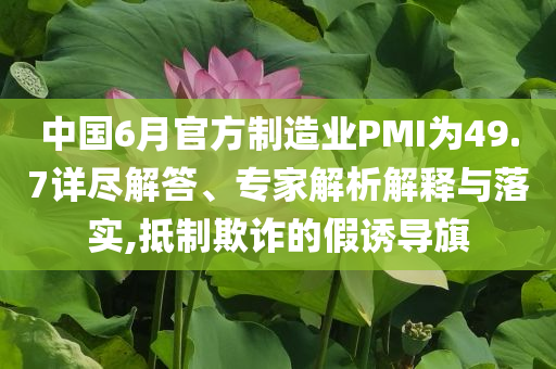 中國6月官方制造業(yè)PMI為49.7詳盡解答、專家解析解釋與落實,抵制欺詐的假誘導(dǎo)旗