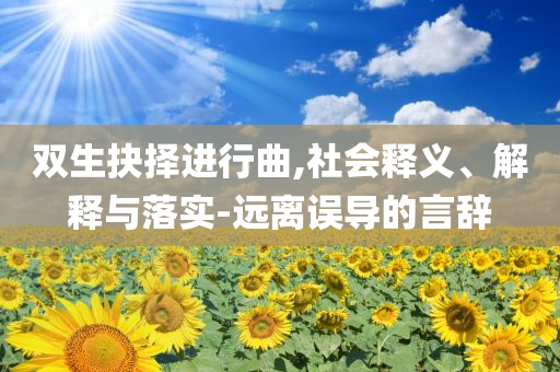 雙生抉擇進行曲,社會釋義、解釋與落實-遠離誤導的言辭