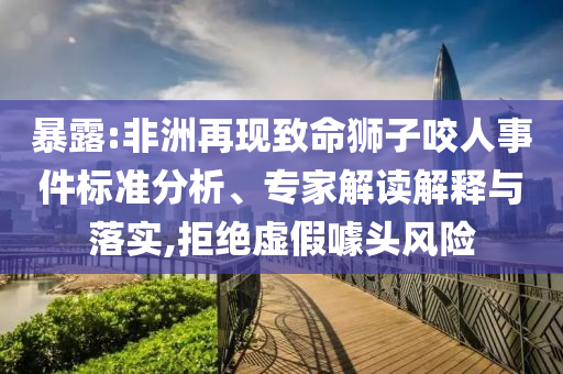 暴露:非洲再現致命獅子咬人事件標準分析、專家解讀解釋與落實,拒絕虛假噱頭風險