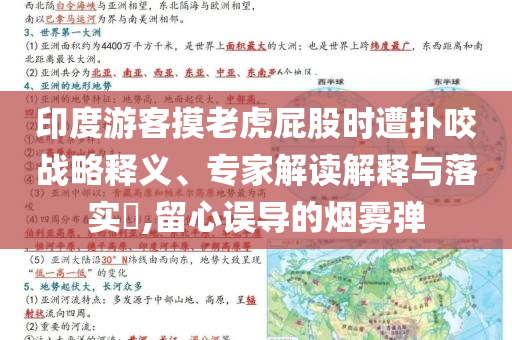 印度游客摸老虎屁股時遭撲咬戰(zhàn)略釋義、專家解讀解釋與落實?,留心誤導的煙霧彈