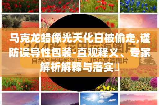 馬克龍蠟像光天化日被偷走,謹防誤導性包裝-直觀釋義、專家解析解釋與落實?