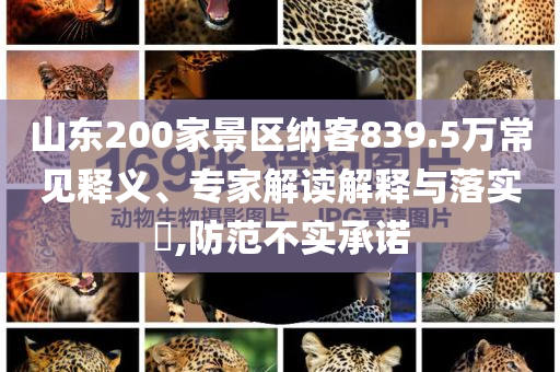 山東200家景區納客839.5萬常見釋義、專家解讀解釋與落實?,防范不實承諾