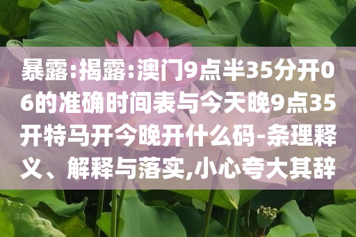 暴露:揭露:澳門9點(diǎn)半35分開06的準(zhǔn)確時(shí)間表與今天晚9點(diǎn)35開特馬開今晚開什么碼-條理釋義、解釋與落實(shí),小心夸大其辭