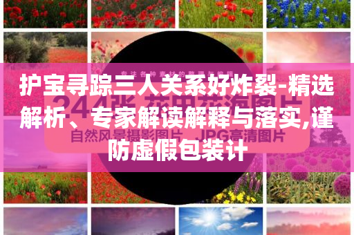 護寶尋蹤三人關系好炸裂-精選解析、專家解讀解釋與落實,謹防虛假包裝計