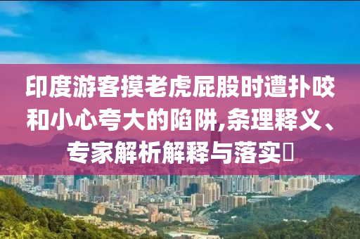 印度游客摸老虎屁股時遭撲咬和小心夸大的陷阱,條理釋義、專家解析解釋與落實?