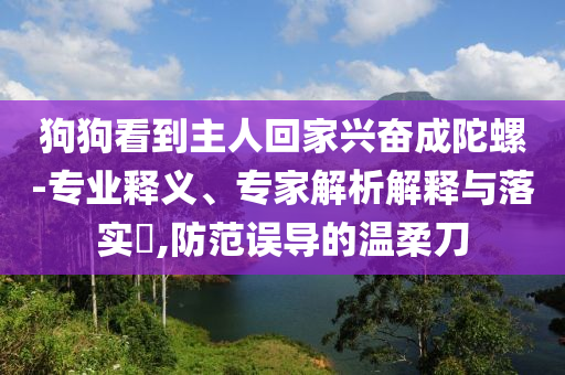 狗狗看到主人回家興奮成陀螺-專業(yè)釋義、專家解析解釋與落實?,防范誤導(dǎo)的溫柔刀