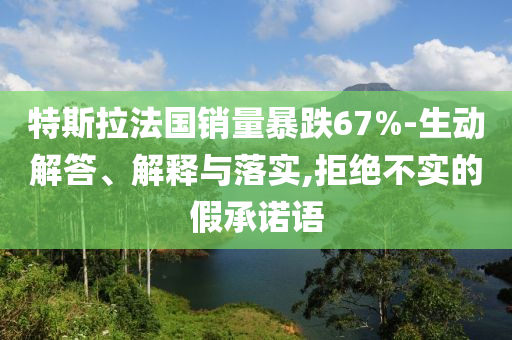 特斯拉法國(guó)銷量暴跌67%-生動(dòng)解答、解釋與落實(shí),拒絕不實(shí)的假承諾語