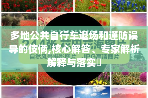 多地公共自行車退場和謹防誤導的伎倆,核心解答、專家解析解釋與落實?