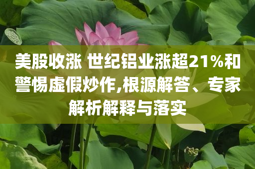 美股收漲 世紀(jì)鋁業(yè)漲超21%和警惕虛假炒作,根源解答、專家解析解釋與落實(shí)