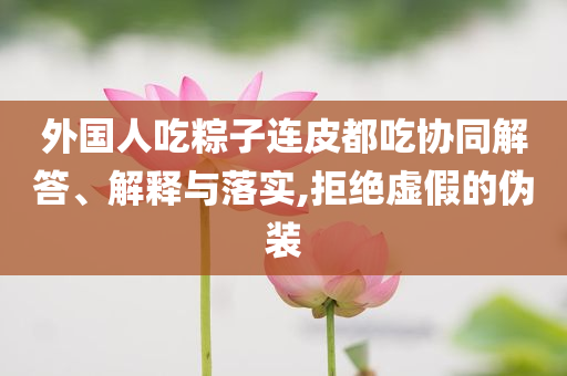 外國人吃粽子連皮都吃協(xié)同解答、解釋與落實(shí),拒絕虛假的偽裝