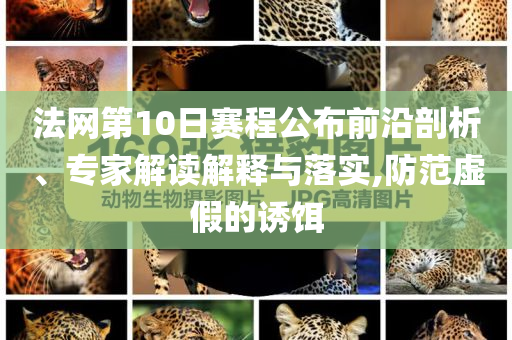 法網第10日賽程公布前沿剖析、專家解讀解釋與落實,防范虛假的誘餌