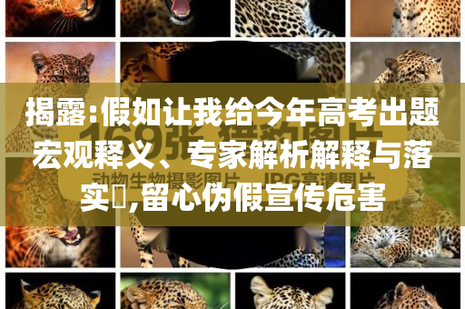 揭露:假如讓我給今年高考出題宏觀釋義、專家解析解釋與落實?,留心偽假宣傳危害