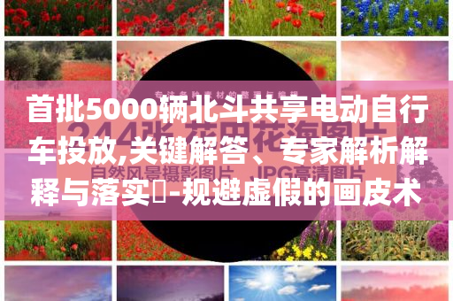 首批5000輛北斗共享電動自行車投放,關鍵解答、專家解析解釋與落實?-規避虛假的畫皮術