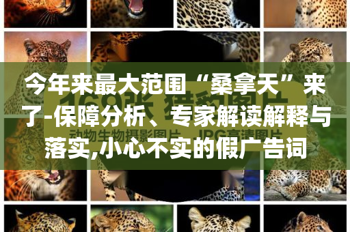 今年來最大范圍“桑拿天”來了-保障分析、專家解讀解釋與落實,小心不實的假廣告詞