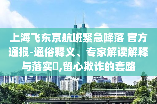 上海飛東京航班緊急降落 官方通報-通俗釋義、專家解讀解釋與落實?,留心欺詐的套路