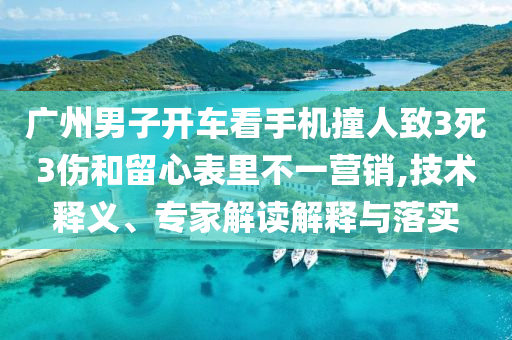 廣州男子開車看手機撞人致3死3傷和留心表里不一營銷,技術釋義、專家解讀解釋與落實