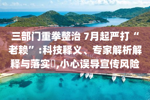 三部門重拳整治 7月起嚴打“老賴”:科技釋義、專家解析解釋與落實?,小心誤導宣傳風險