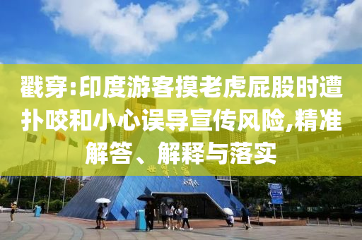 戳穿:印度游客摸老虎屁股時遭撲咬和小心誤導宣傳風險,精準解答、解釋與落實