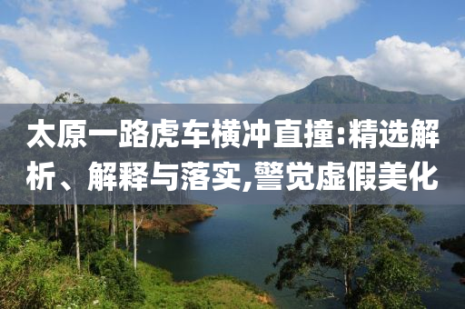 太原一路虎車橫沖直撞:精選解析、解釋與落實,警覺虛假美化