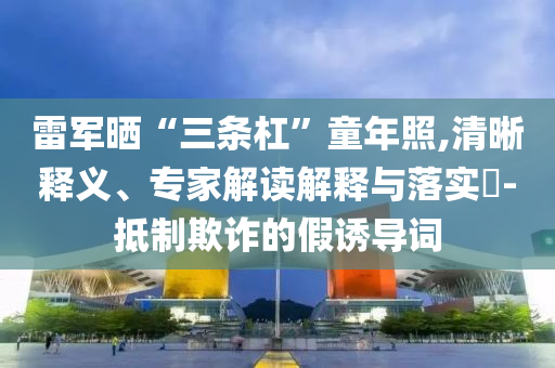 雷軍曬“三條杠”童年照,清晰釋義、專家解讀解釋與落實?-抵制欺詐的假誘導詞