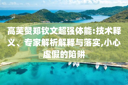 高芙贊鄭欽文超強(qiáng)體能:技術(shù)釋義、專家解析解釋與落實(shí),小心虛假的陷阱