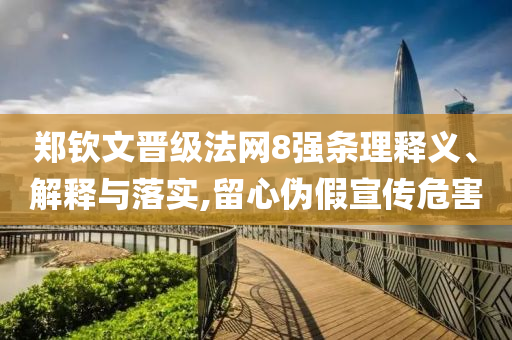 鄭欽文晉級(jí)法網(wǎng)8強(qiáng)條理釋義、解釋與落實(shí),留心偽假宣傳危害