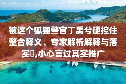 被這個狐貍警官丁禹兮硬控住整合釋義、專家解析解釋與落實?,小心言過其實推廣