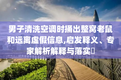 男子清洗空調時捅出整窩老鼠和遠離虛假信息,啟發釋義、專家解析解釋與落實?