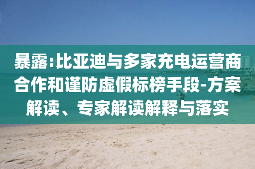 暴露:比亞迪與多家充電運營商合作和謹防虛假標榜手段-方案解讀、專家解讀解釋與落實