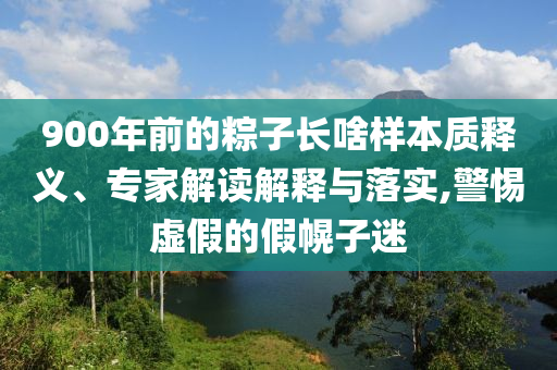 900年前的粽子長啥樣本質釋義、專家解讀解釋與落實,警惕虛假的假幌子迷
