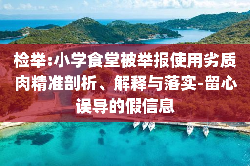 檢舉:小學食堂被舉報使用劣質肉精準剖析、解釋與落實-留心誤導的假信息