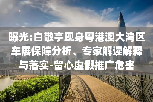 曝光:白敬亭現(xiàn)身粵港澳大灣區(qū)車(chē)展保障分析、專(zhuān)家解讀解釋與落實(shí)-留心虛假推廣危害