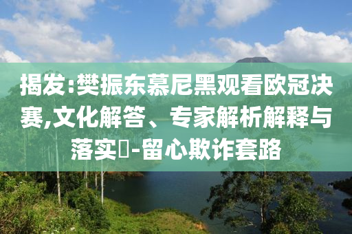 揭發(fā):樊振東慕尼黑觀看歐冠決賽,文化解答、專家解析解釋與落實(shí)?-留心欺詐套路