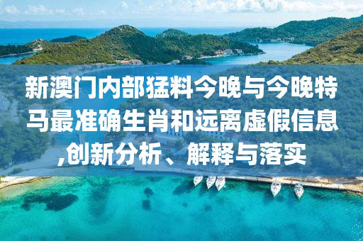 新澳門內部猛料今晚與今晚特馬最準確生肖和遠離虛假信息,創新分析、解釋與落實