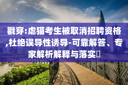 戳穿:虐貓考生被取消招聘資格,杜絕誤導性誘導-可靠解答、專家解析解釋與落實?