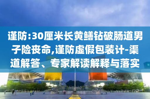 謹防:30厘米長黃鱔鉆破腸道男子險喪命,謹防虛假包裝計-渠道解答、專家解讀解釋與落實