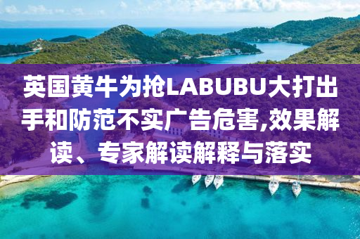 英國(guó)黃牛為搶LABUBU大打出手和防范不實(shí)廣告危害,效果解讀、專家解讀解釋與落實(shí)